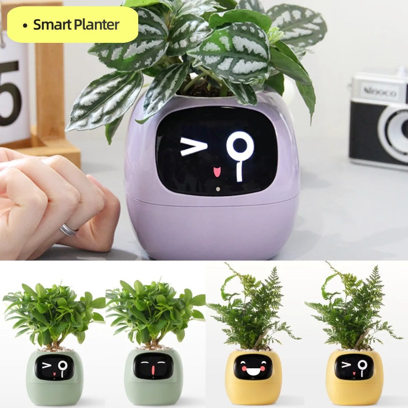 IVY smart planter with animated face and examples of colour options
