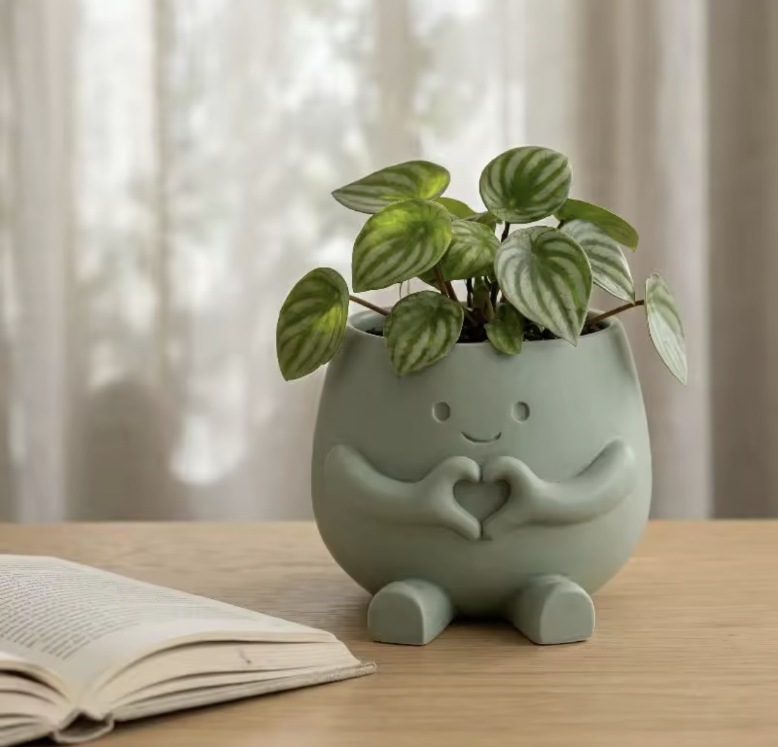 Unique Sitting Face Flower Vase – Cute Head Planter for Succulents & Small Plants