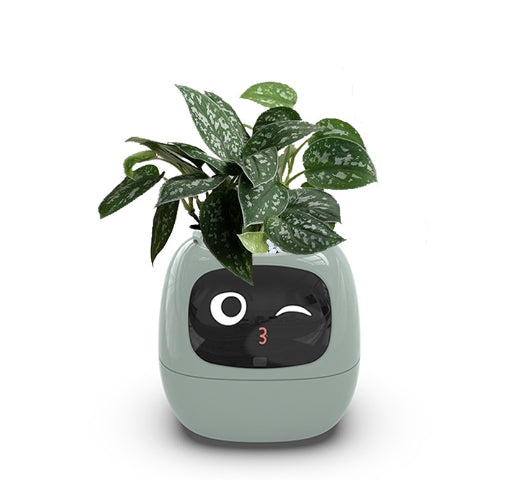 Light Green IVY smart planter on a white background