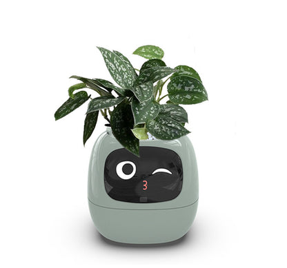 Light Green IVY smart planter on a white background