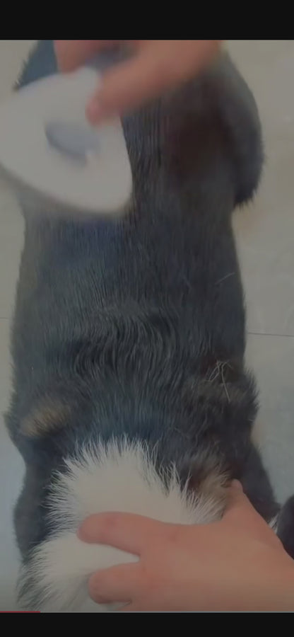 Self-Cleaning Pet Hair Brush